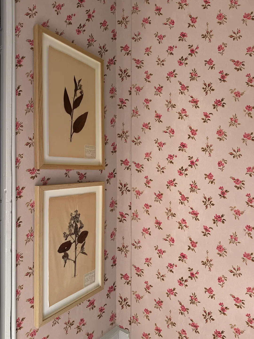 We Got a First Look at Clare Vivier's New Wallpaper Line, Inspired By Her 1800s French Home